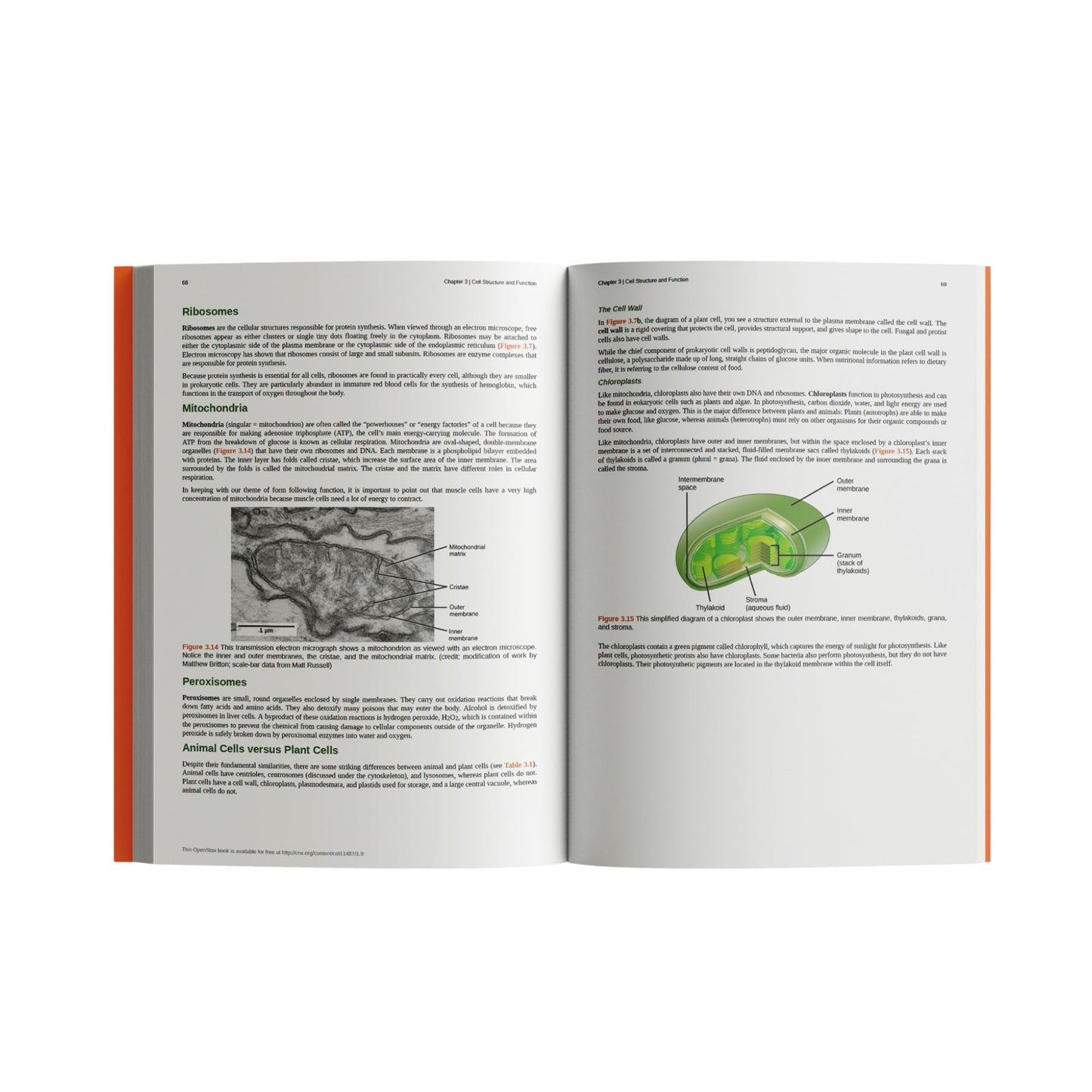 Concepts of Biology by OpenStax (Official Print Version, hardcover, full color)