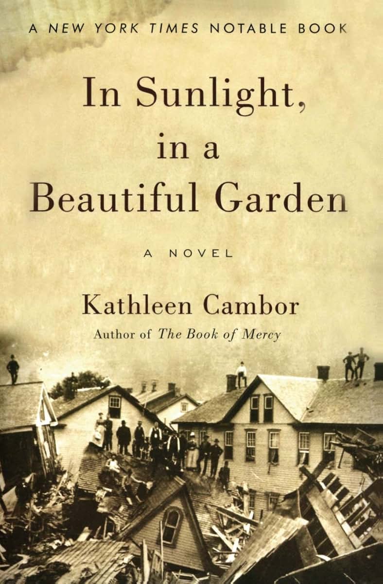 In Sunlight, in a Beautiful Garden: A Novel
