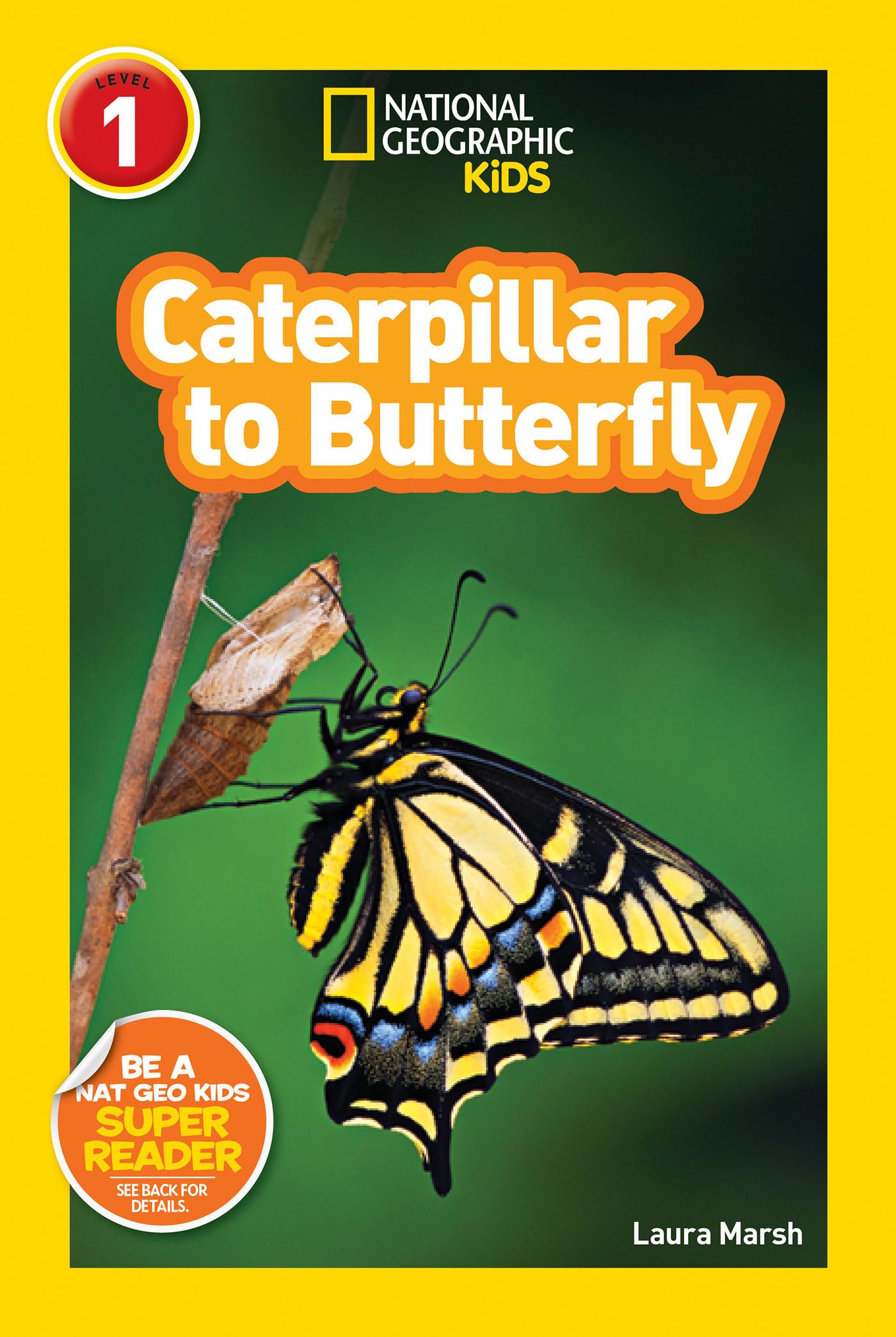 Caterpillar to Butterfly (National Geographic Kids Readers, Level 1)
