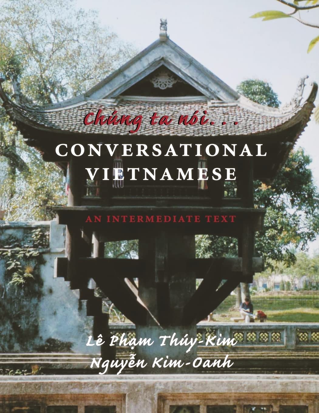 Chung Ta Noi: Conversational Vietnamese--An Intermediate Text
