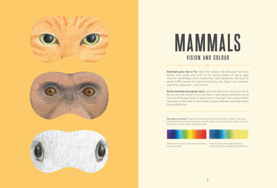 Eye Spy: Wild Ways Animals See the World