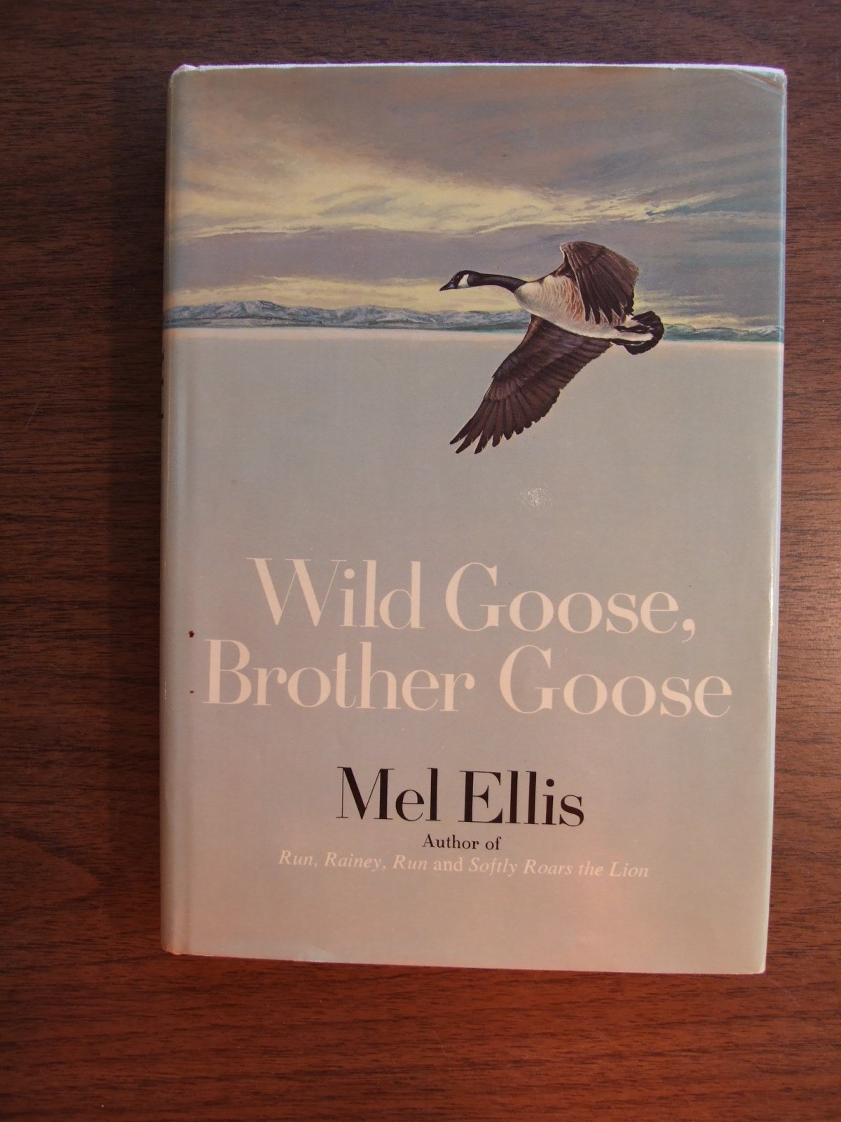 Wild goose, brother goose,