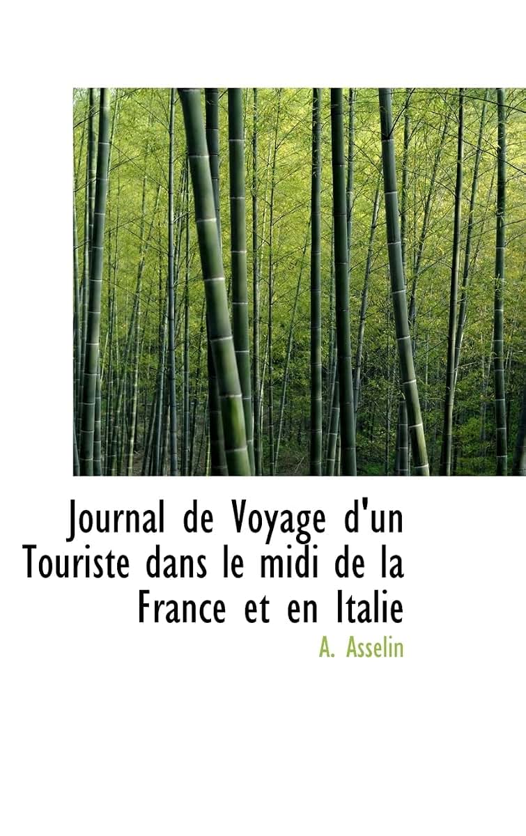 Journal de Voyage d'un Touriste dans le midi de la France et en Italie (French Edition)