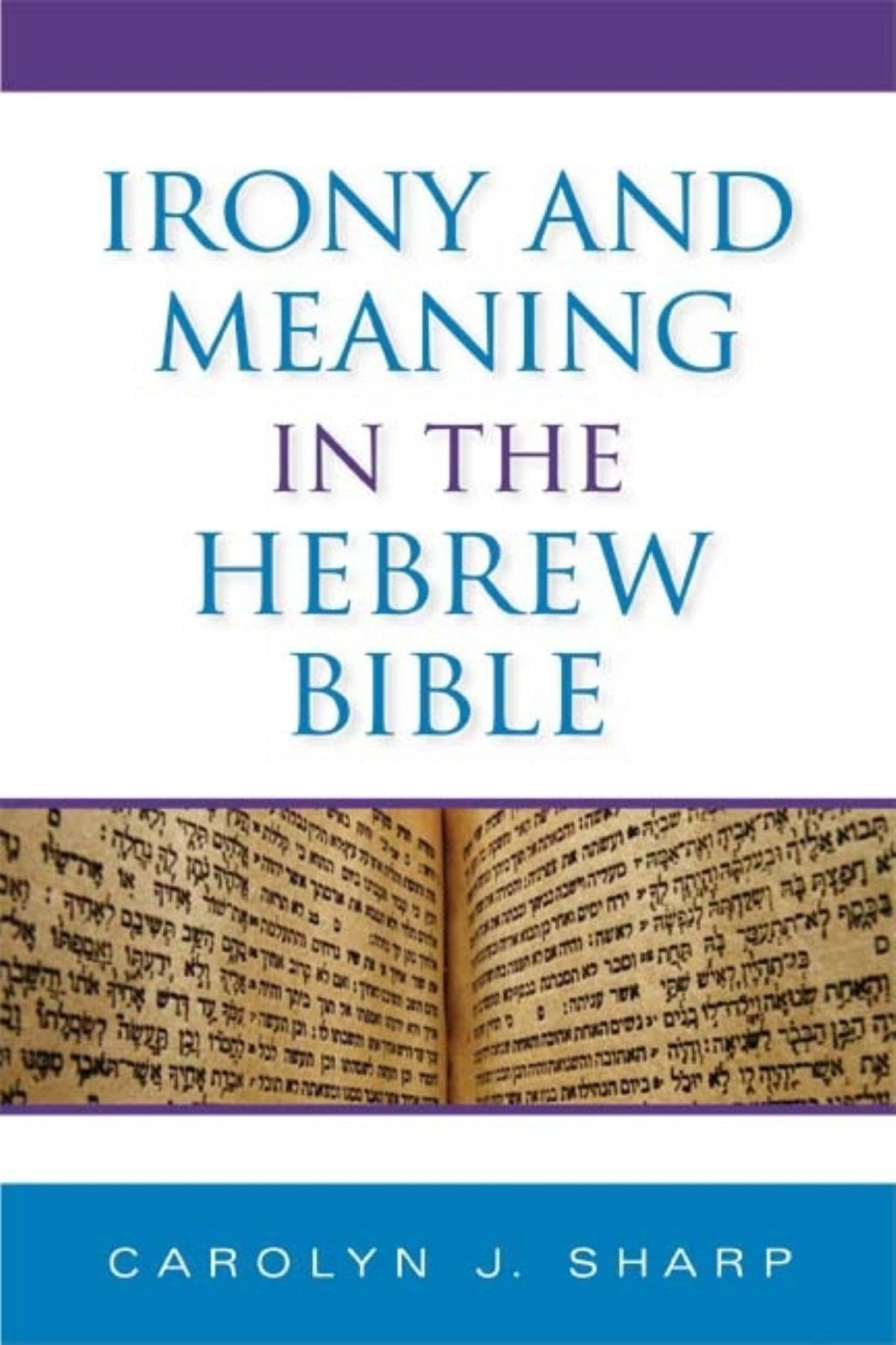 Irony and Meaning in the Hebrew Bible (Biblical Literature)