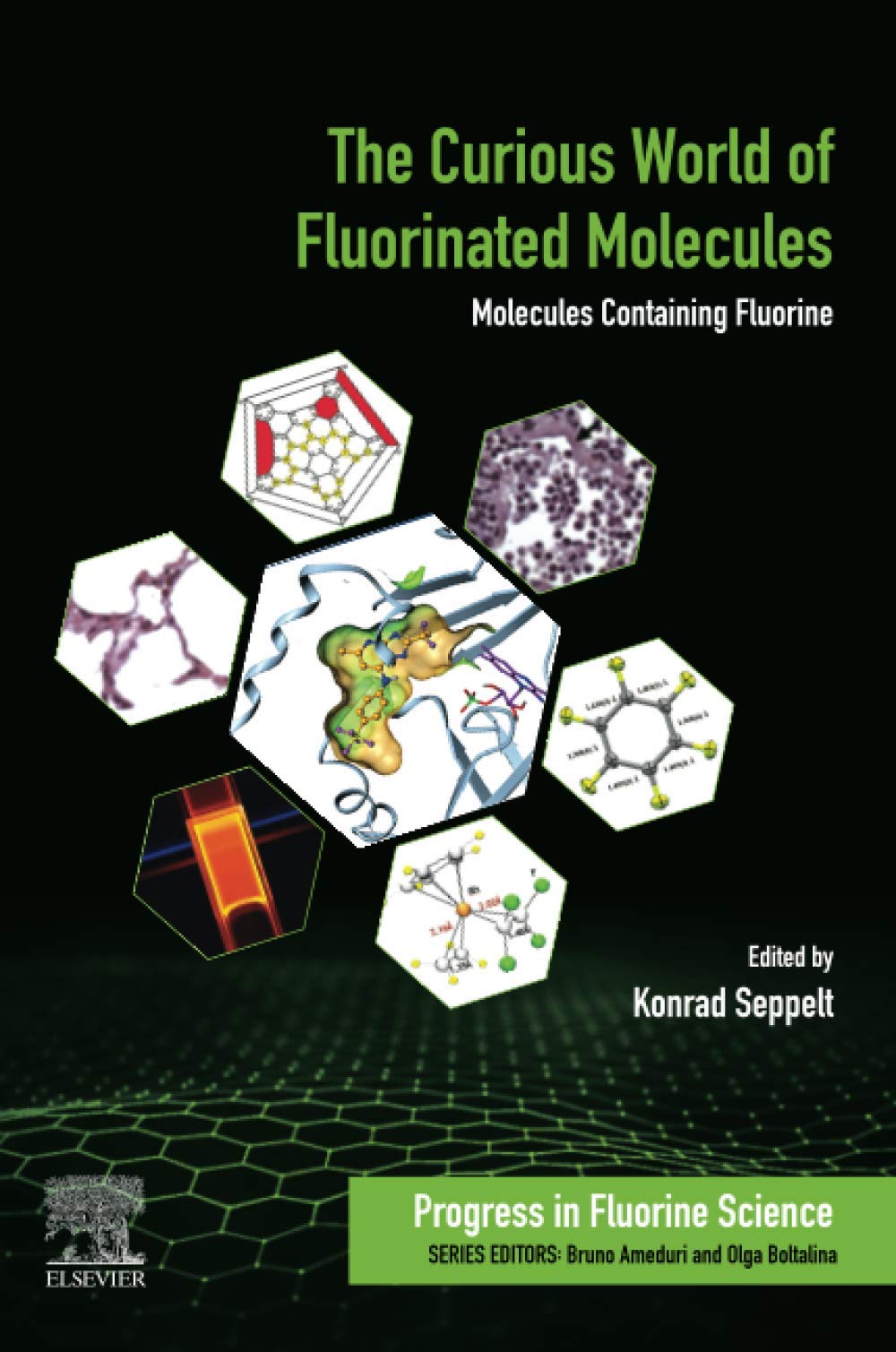The Curious World of Fluorinated Molecules: Molecules Containing Fluorine (Volume 6) (Progress in Fluorine Science, Volume 6)