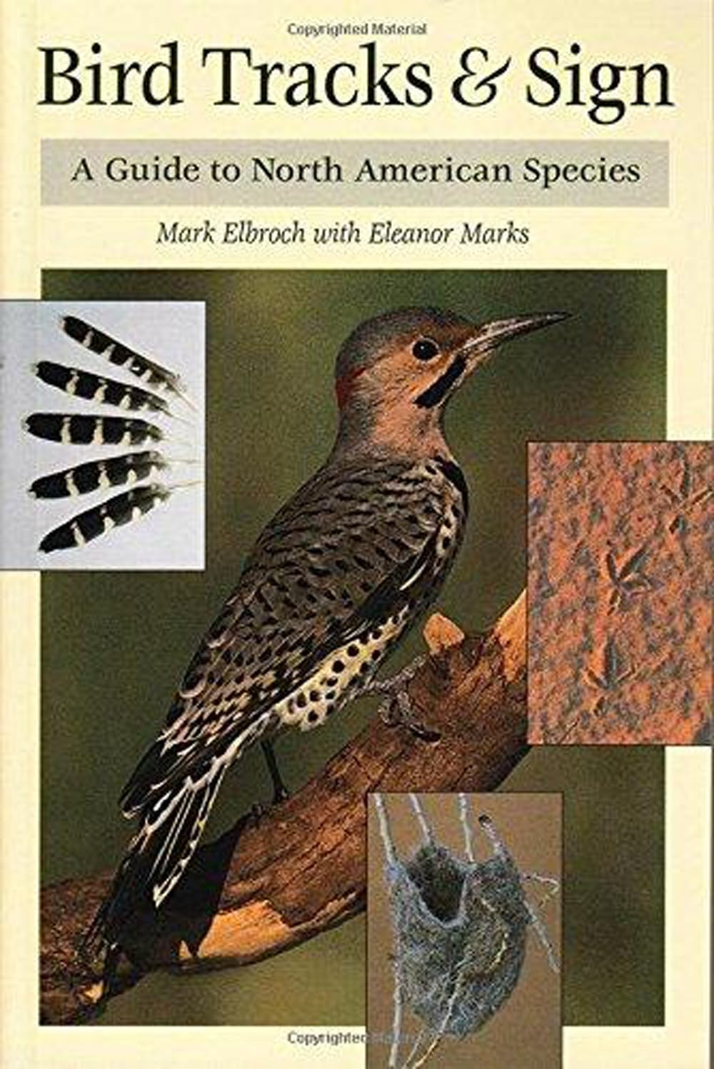 Bird Tracks & Sign : A Guide to North American Species