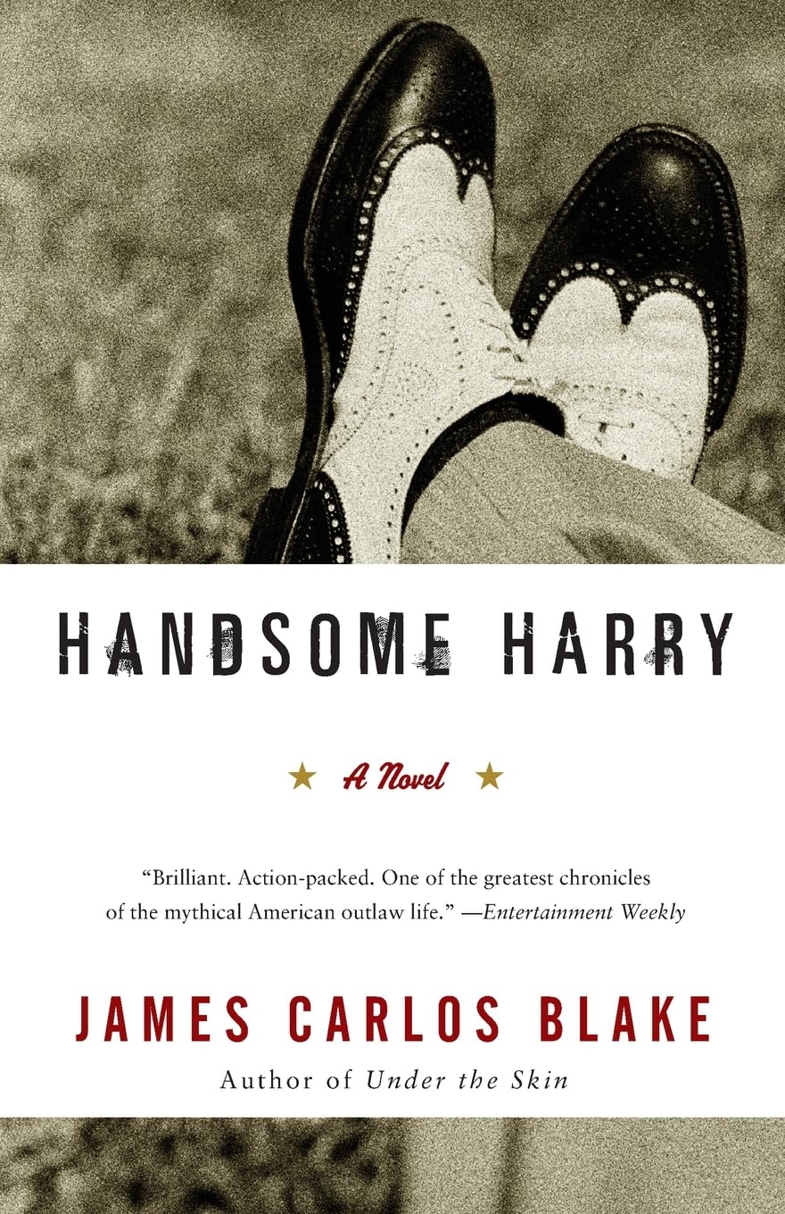 Handsome Harry: A Novel
