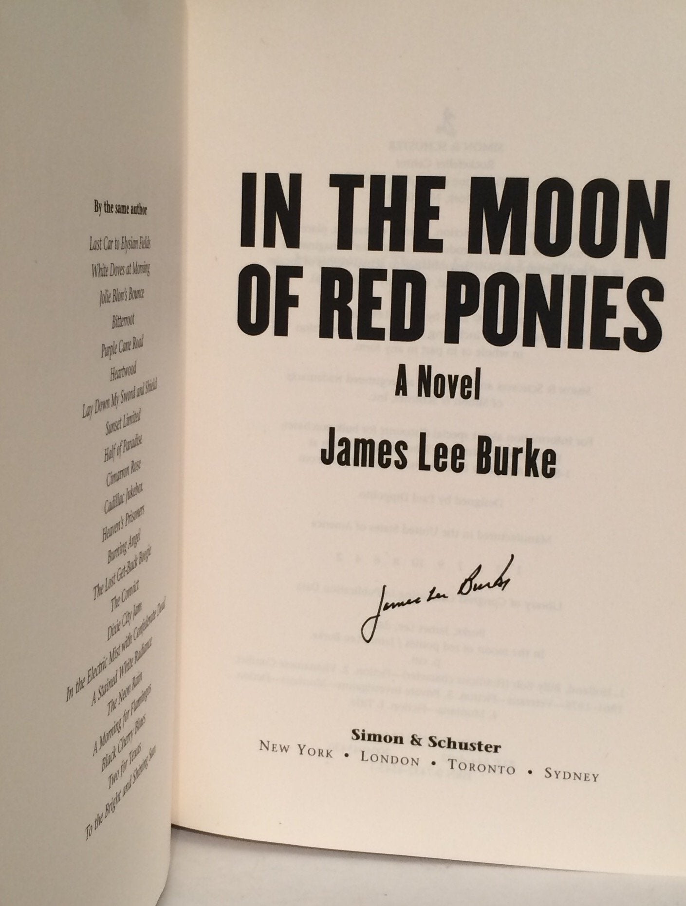 In the Moon of Red Ponies: A Novel