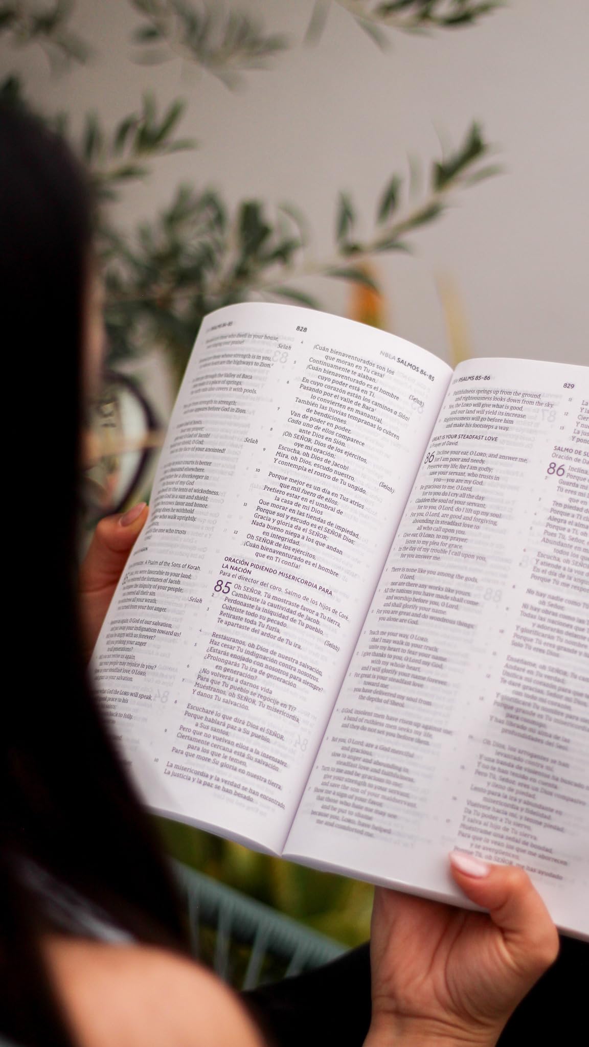 ESV/NBLA, Bilingual Bible, Softcover / ESV/NBLA, Biblia Bilinge, tapa rústica (Spanish Edition)