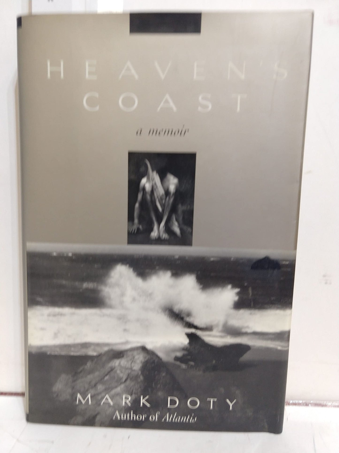 Heavens Coast: A Memoir