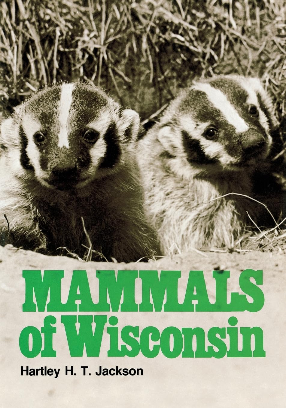 Mammals of Wisconsin