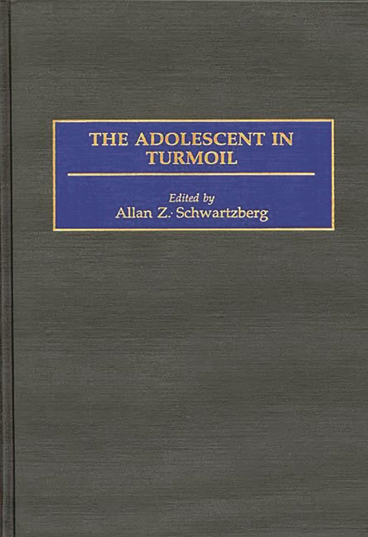 The Adolescent in Turmoil (Monograph of the International Society for Adolescent Psychiatry)