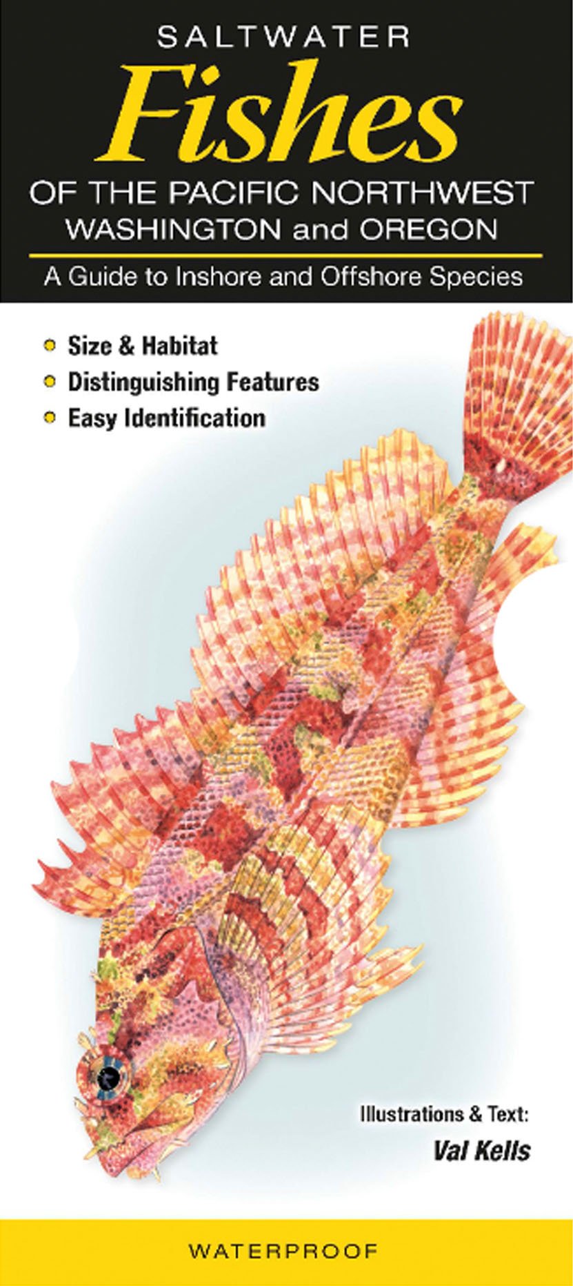 Saltwater Fishes of the Pacific Northwest : Washington and Oregon: A Guide to Inshore and Offshore Species