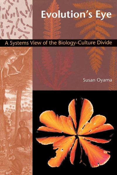 Evolution's Eye: A Systems View of the Biology-Culture Divide (Science and Cultural Theory)
