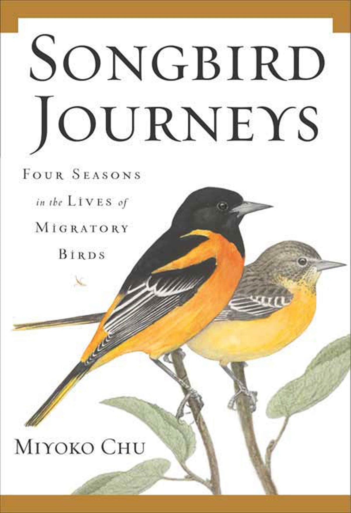Songbird Journeys: Four Seasons In the Lives of Migratory Birds