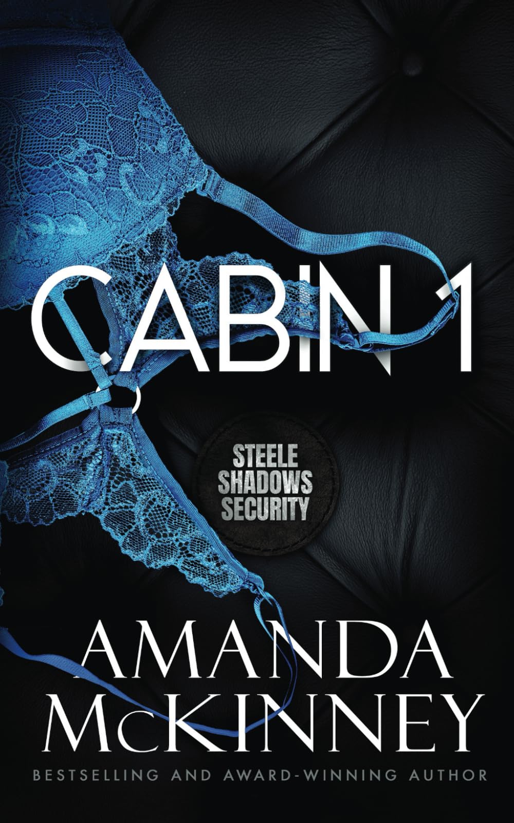 Cabin 1 (Steele Shadows Security)