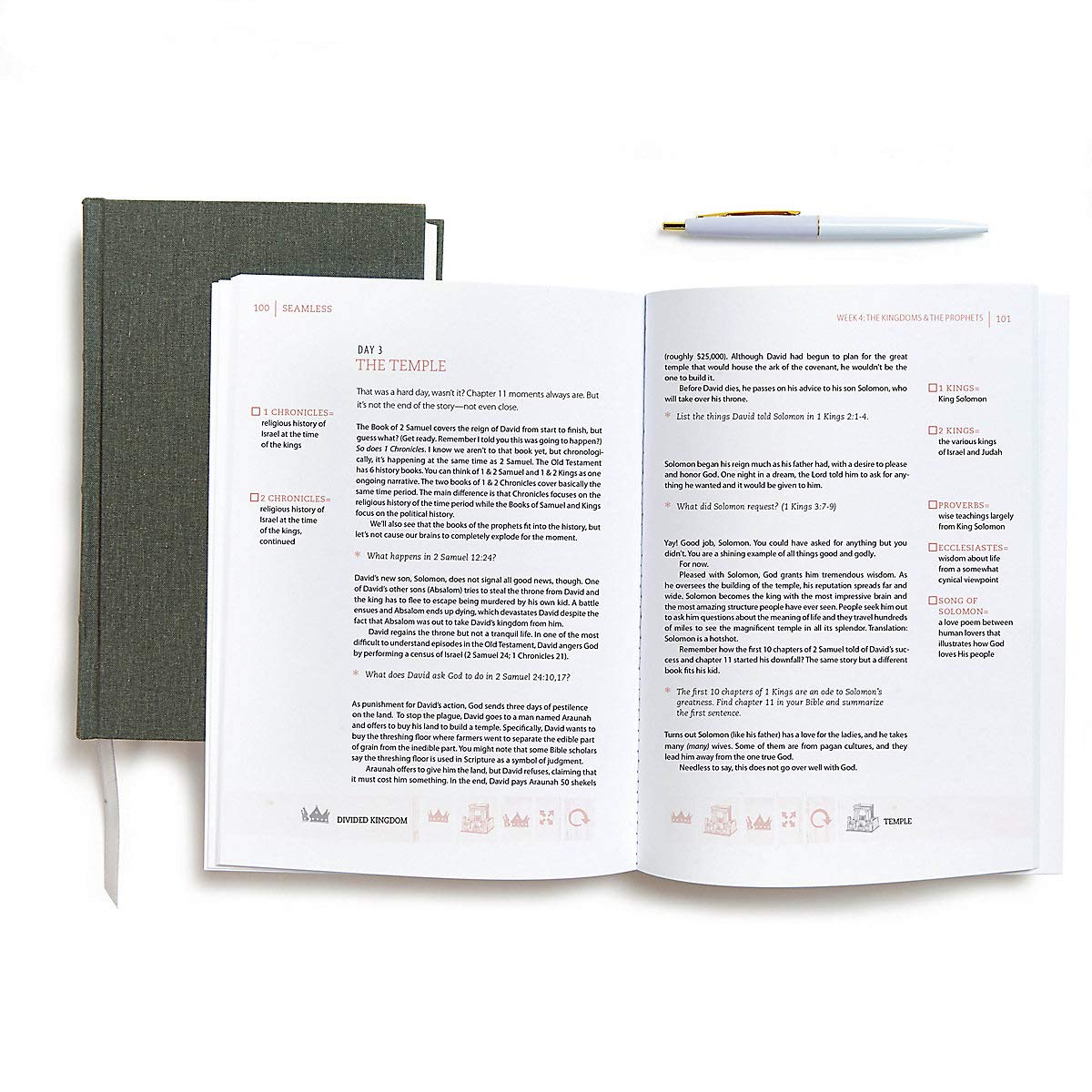 Seamless: Understanding the Bible as One Complete Story