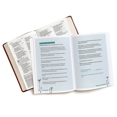 God of Creation: A Study of Genesis 1-11 - Bible Study Book