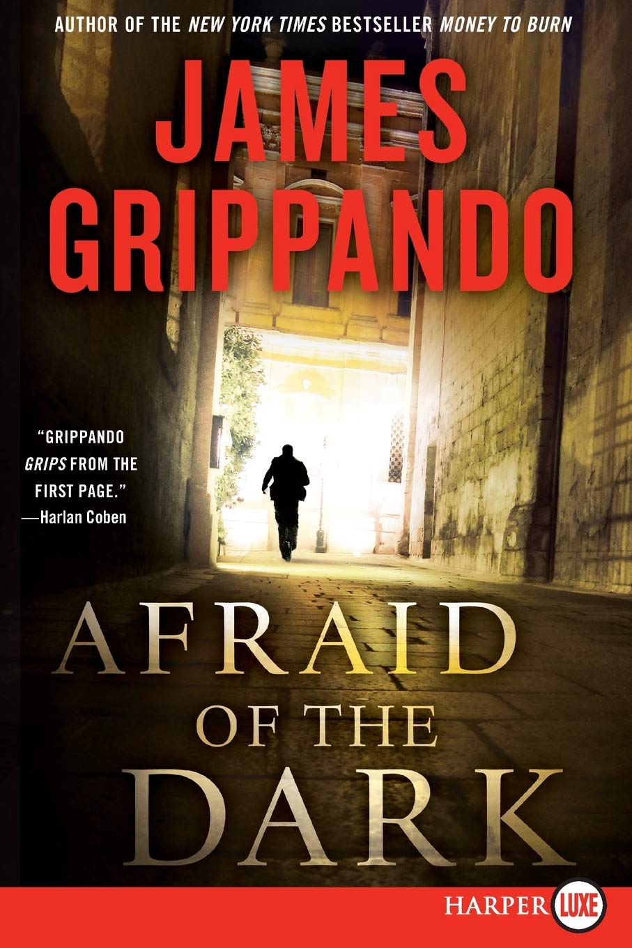 Afraid of the Dark: A Novel of Suspense (Jack Swyteck Novel, 9)