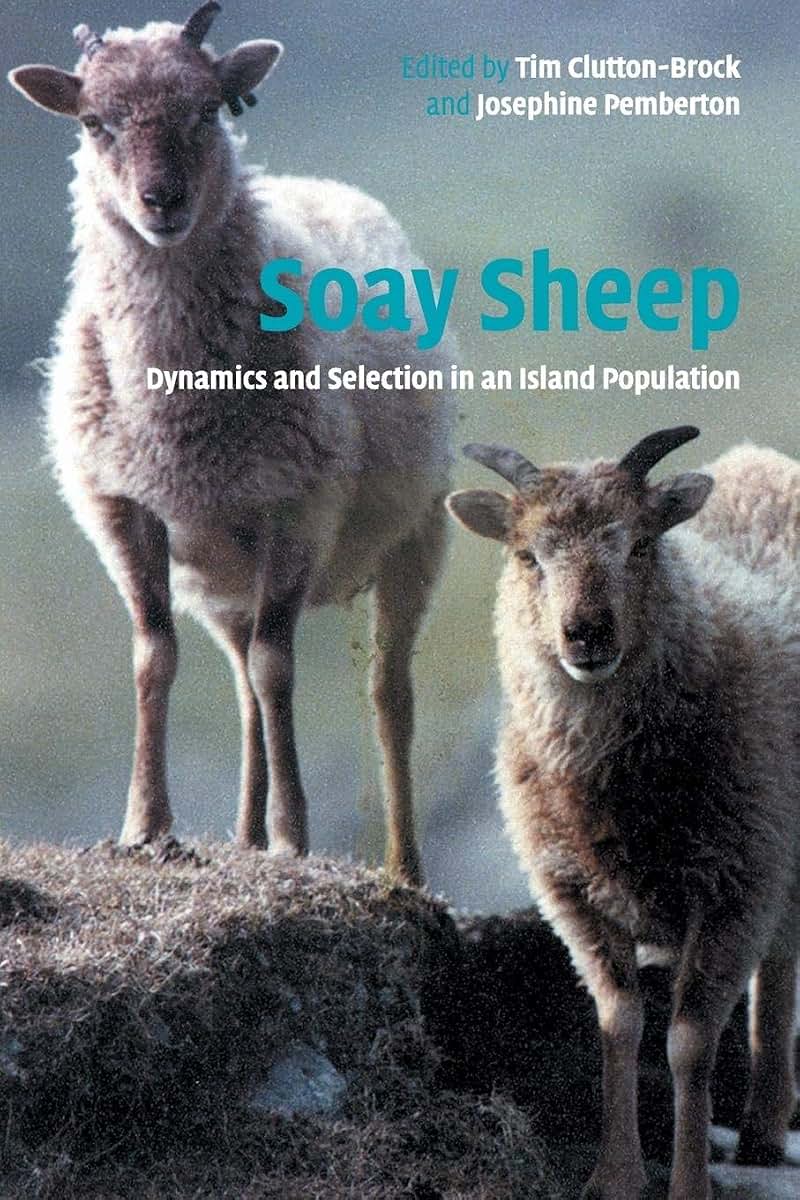 Soay Sheep: Dynamics and Selection in an Island Population