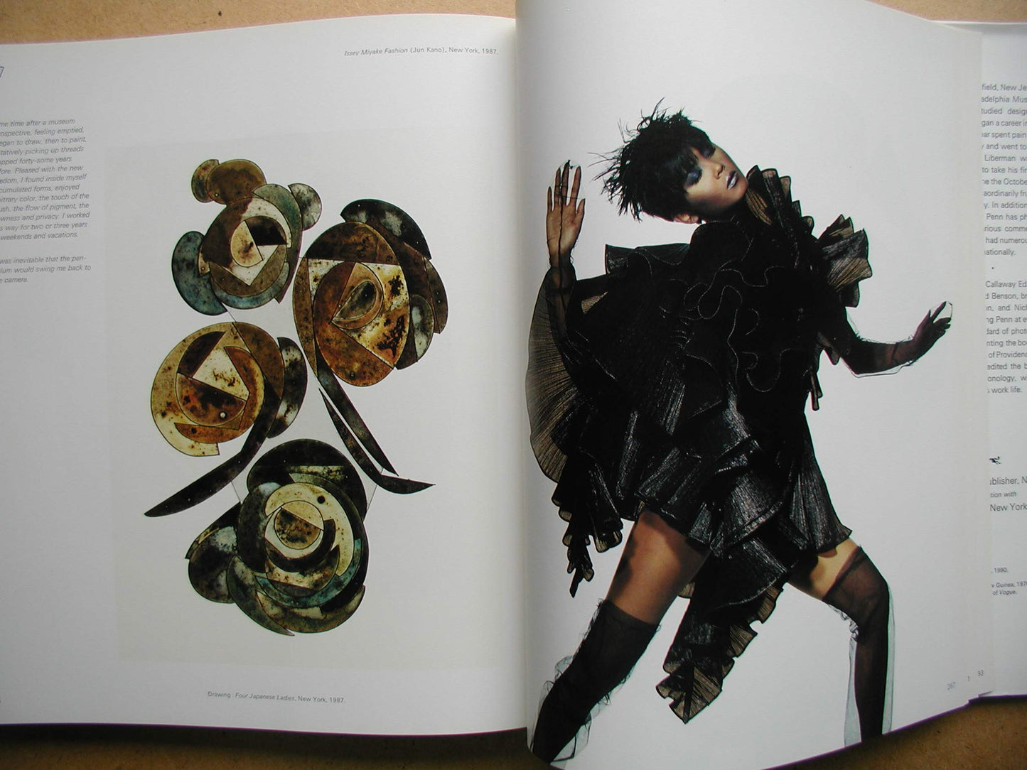 Passage: A Work Record by Irving Penn