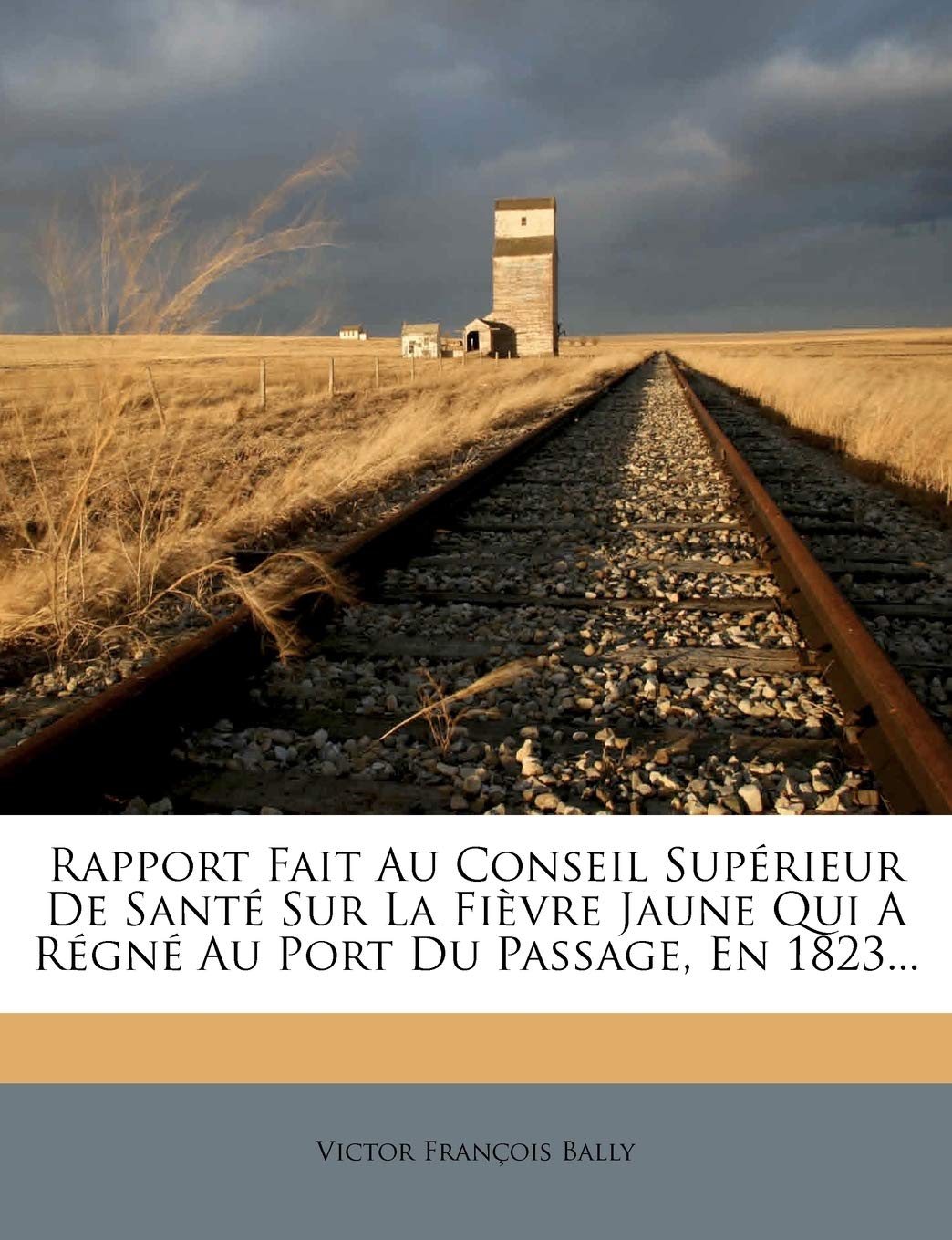 Rapport Fait Au Conseil Supérieur de Santé Sur La Fivre Jaune Qui a Régné Au Port Du Passage, En 1823... (French Edition)