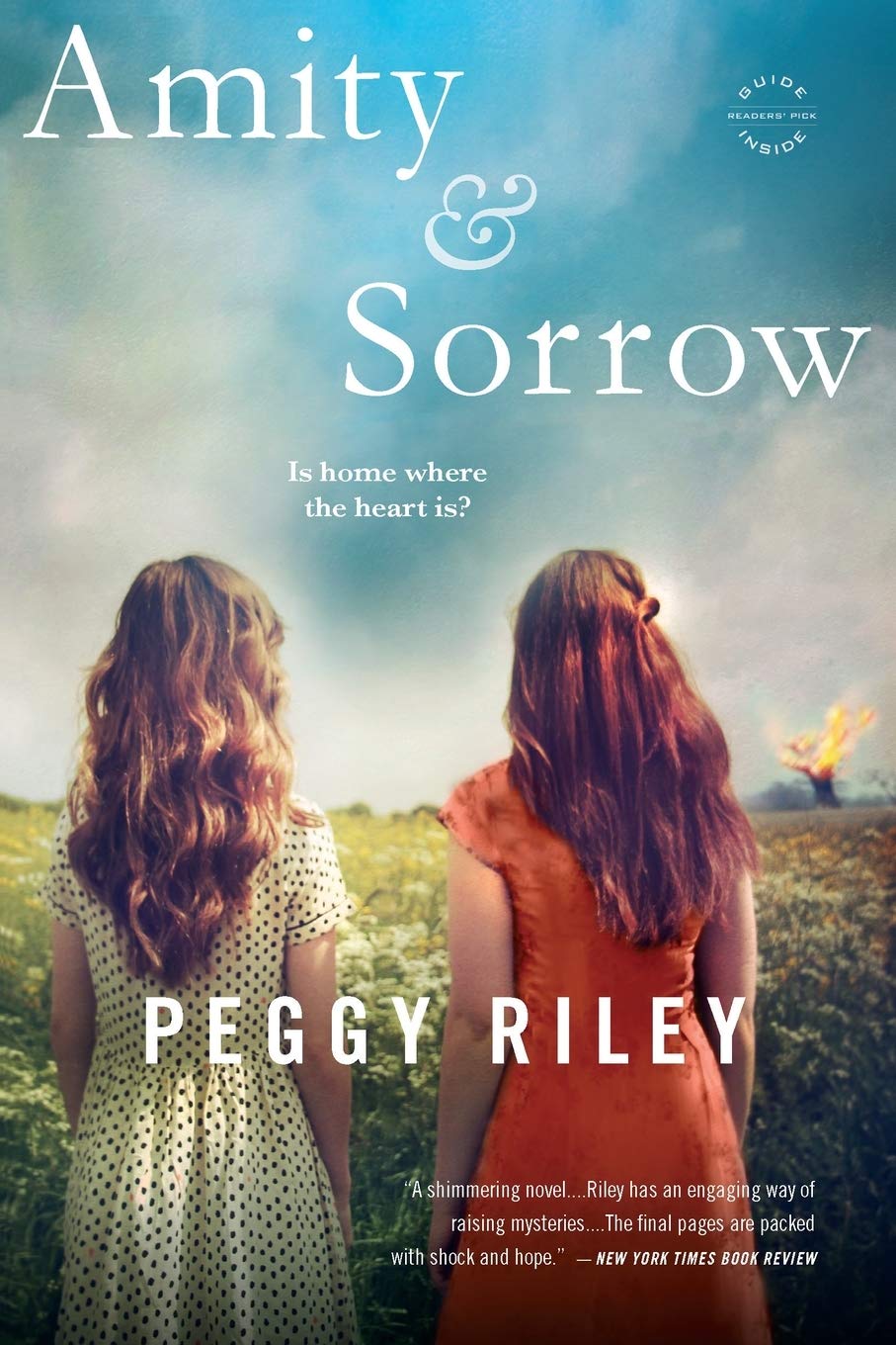 Amity & Sorrow: A Novel