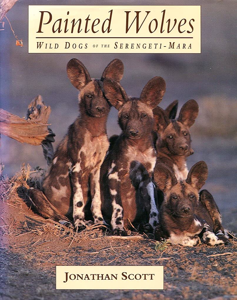 Painted Wolves: Wild Dogs of the Serengeti-Mara by Scott, Jo