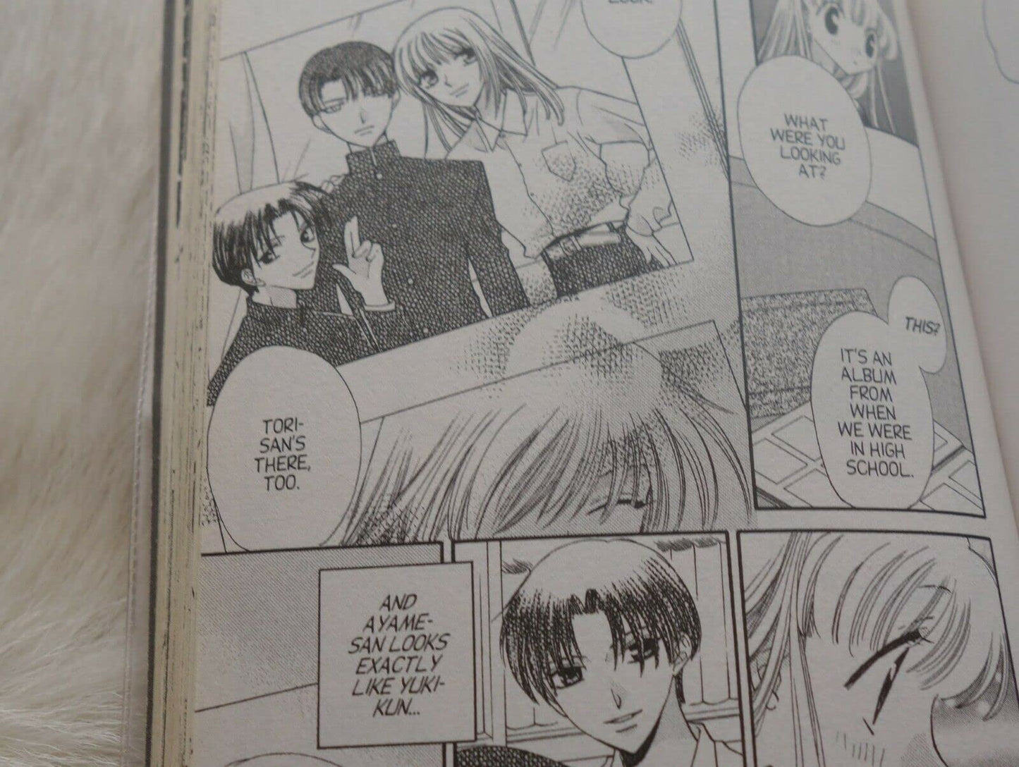 Fruits Basket, Vol. 4