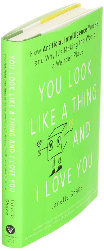 You Look Like a Thing and I Love You: How Artificial Intelli