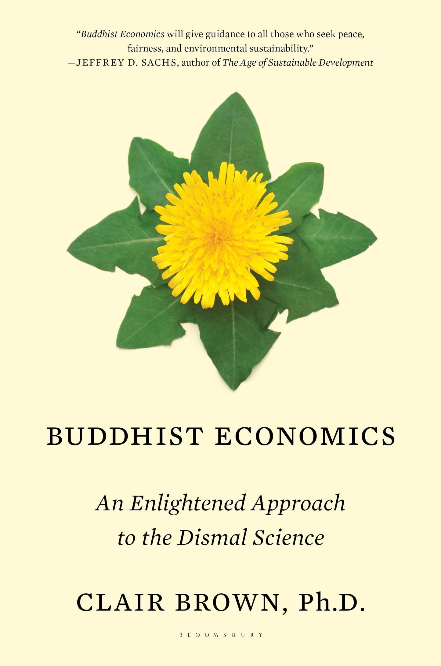 Buddhist Economics: An Enlightened Approach to the Dismal Sc
