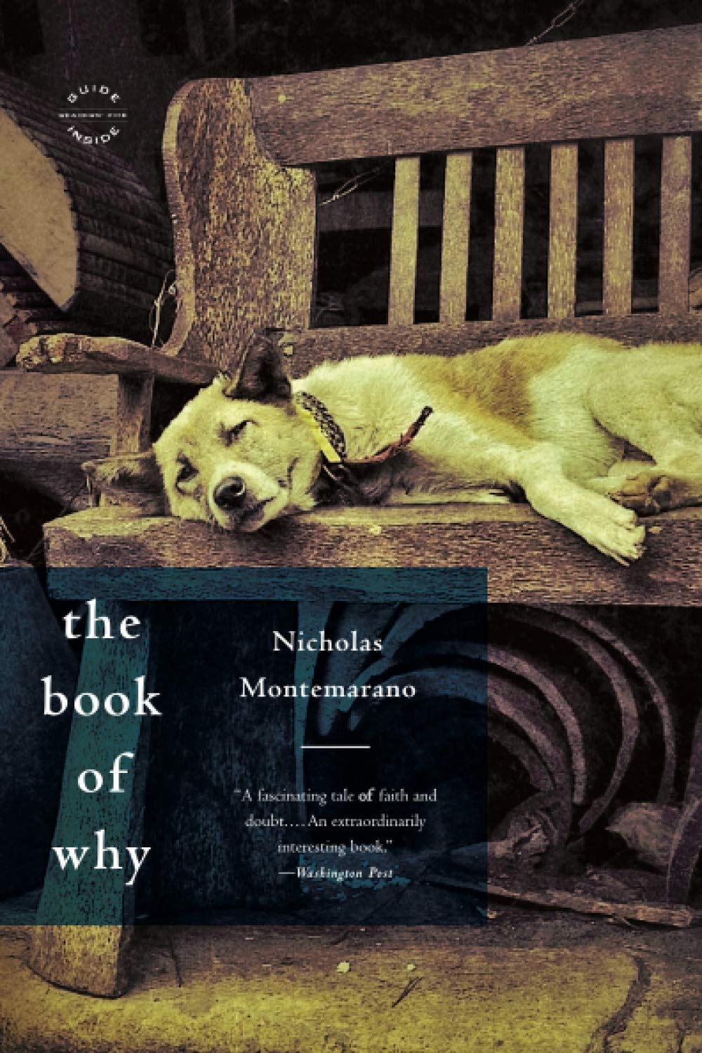 The Book of Why: A Novel