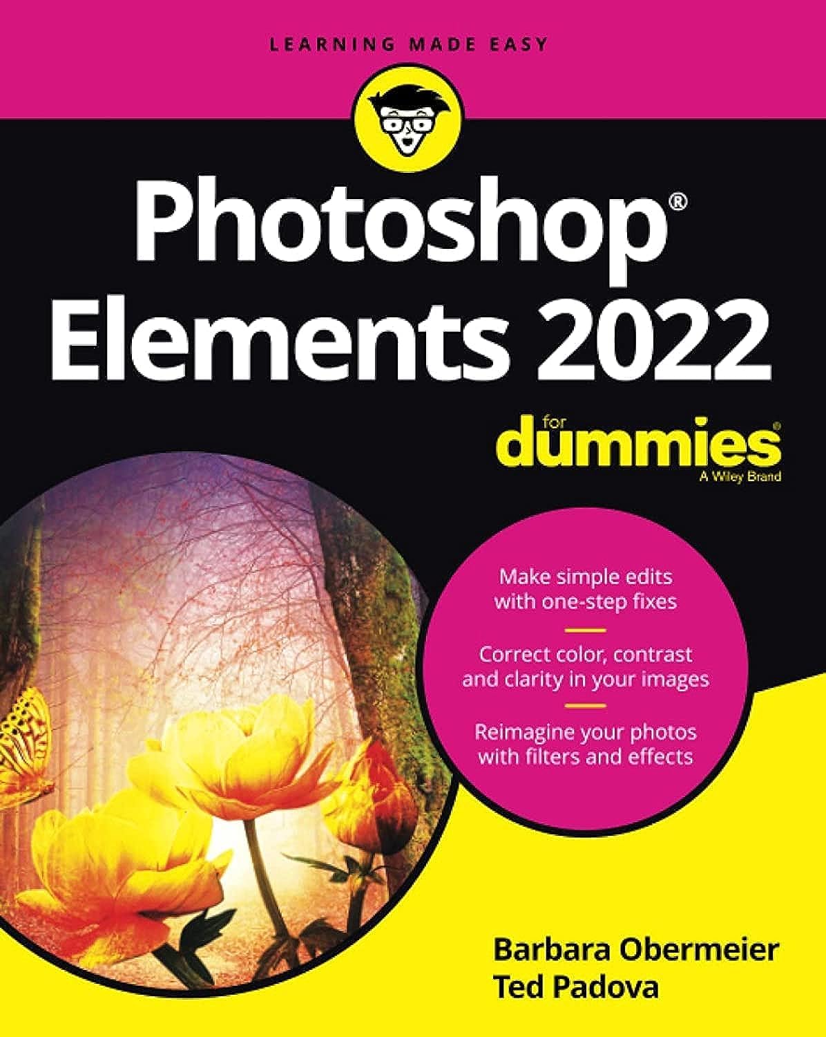 Photoshop Elements 2022 For Dummies (For Dummies (Computer/T