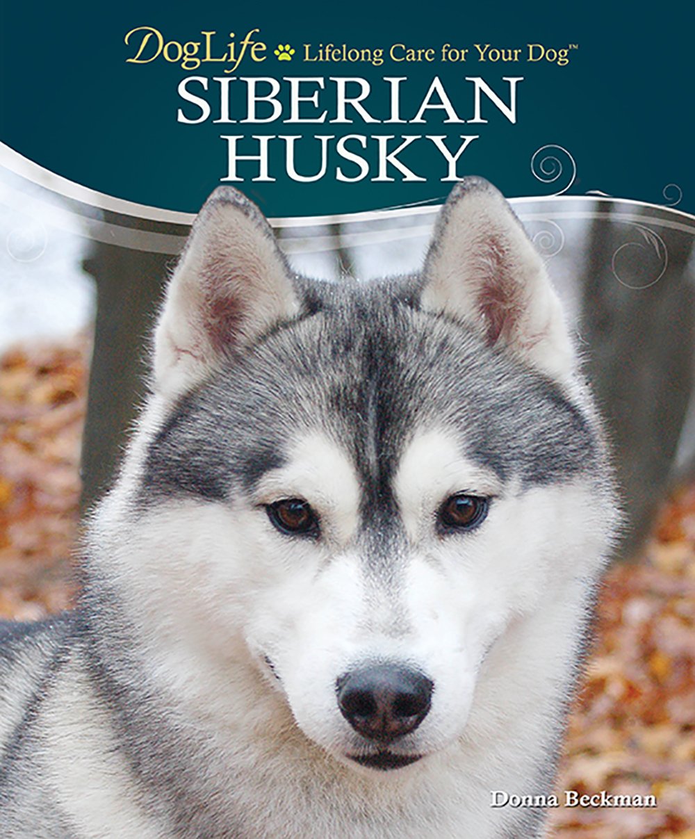 Siberian Husky (Doglife Series)