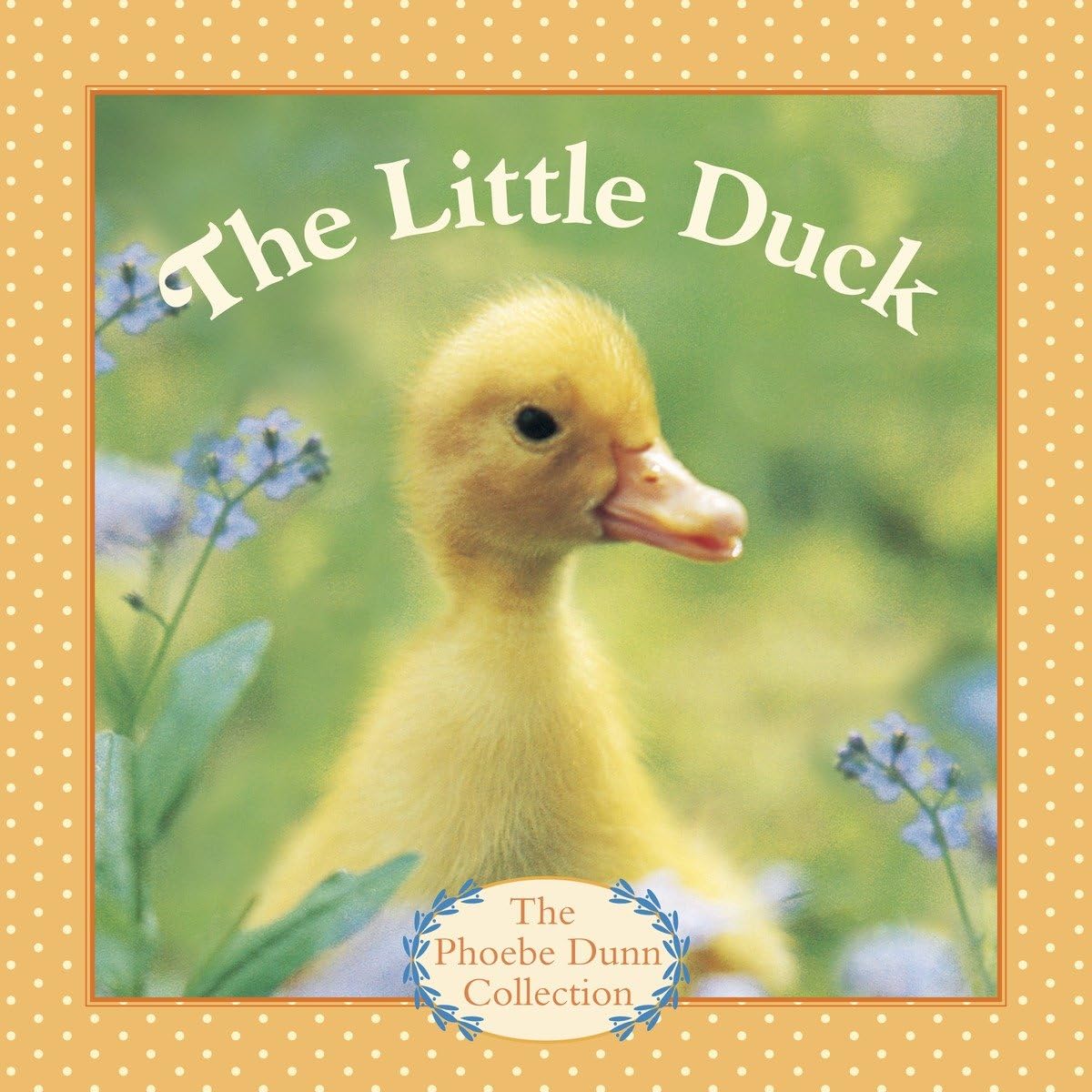 The Little Duck (Phoebe Dunn) by Dunn, Judy
