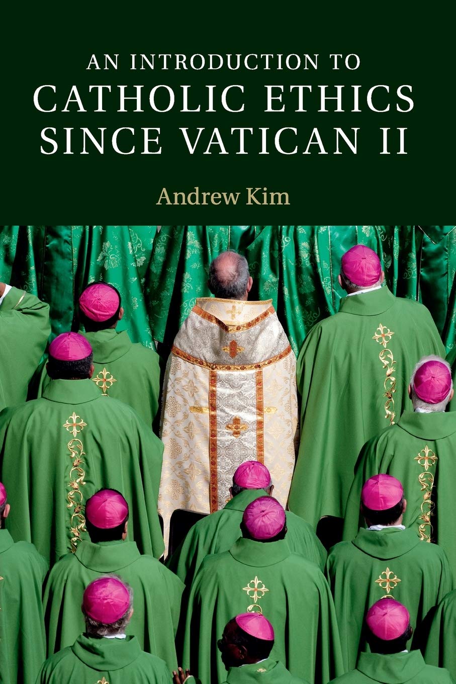 An Introduction to Catholic Ethics since Vatican II (Introduction to Religion)