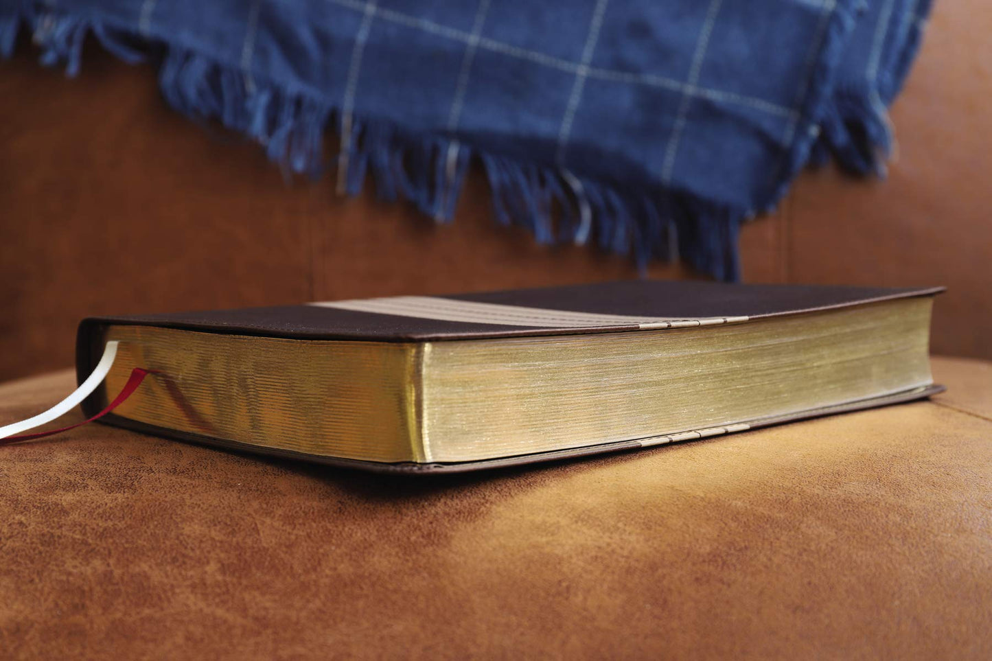 NIV, Thinline Bible, Giant Print, Leathersoft, Brown/Tan, Re