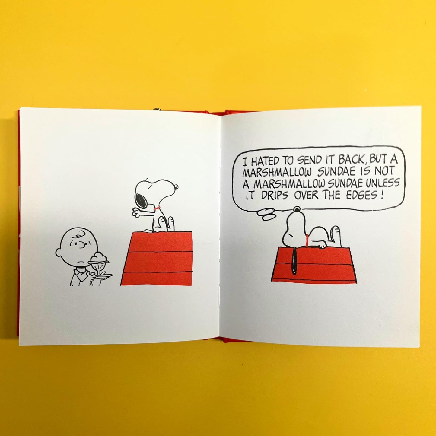 The Philosophy of Snoopy (Peanuts Guide to Life)