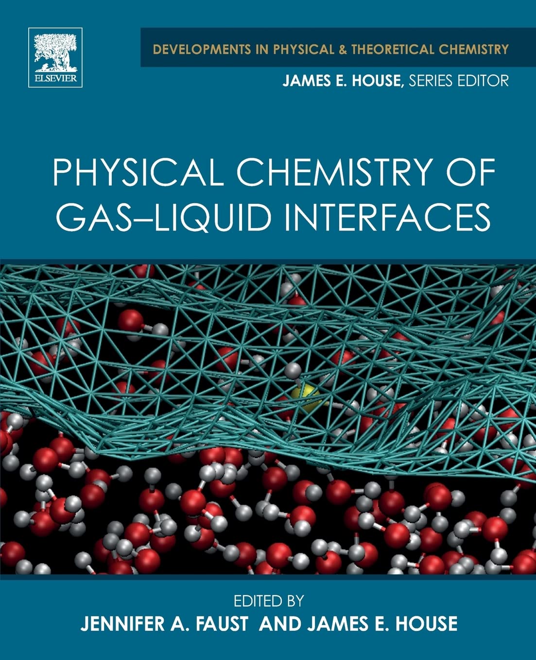Physical Chemistry of Gas-Liquid Interfaces (Developments in Physical & Theoretical Chemistry)