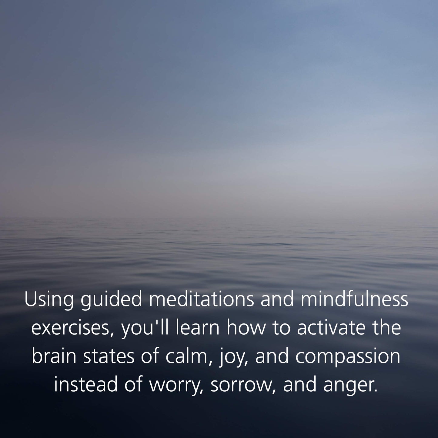 Buddha's Brain: The Practical Neuroscience of Happiness, Love, and Wisdom