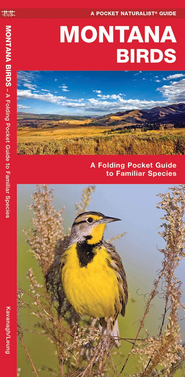Montana Birds: A Folding Pocket Guide to Familiar Species (Nature Observation North America)