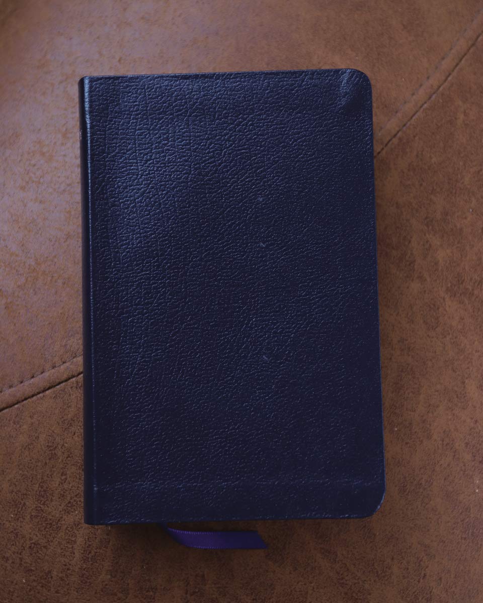 NRSV Go-Anywhere Compact Thinline Bible with the Apocrypha (