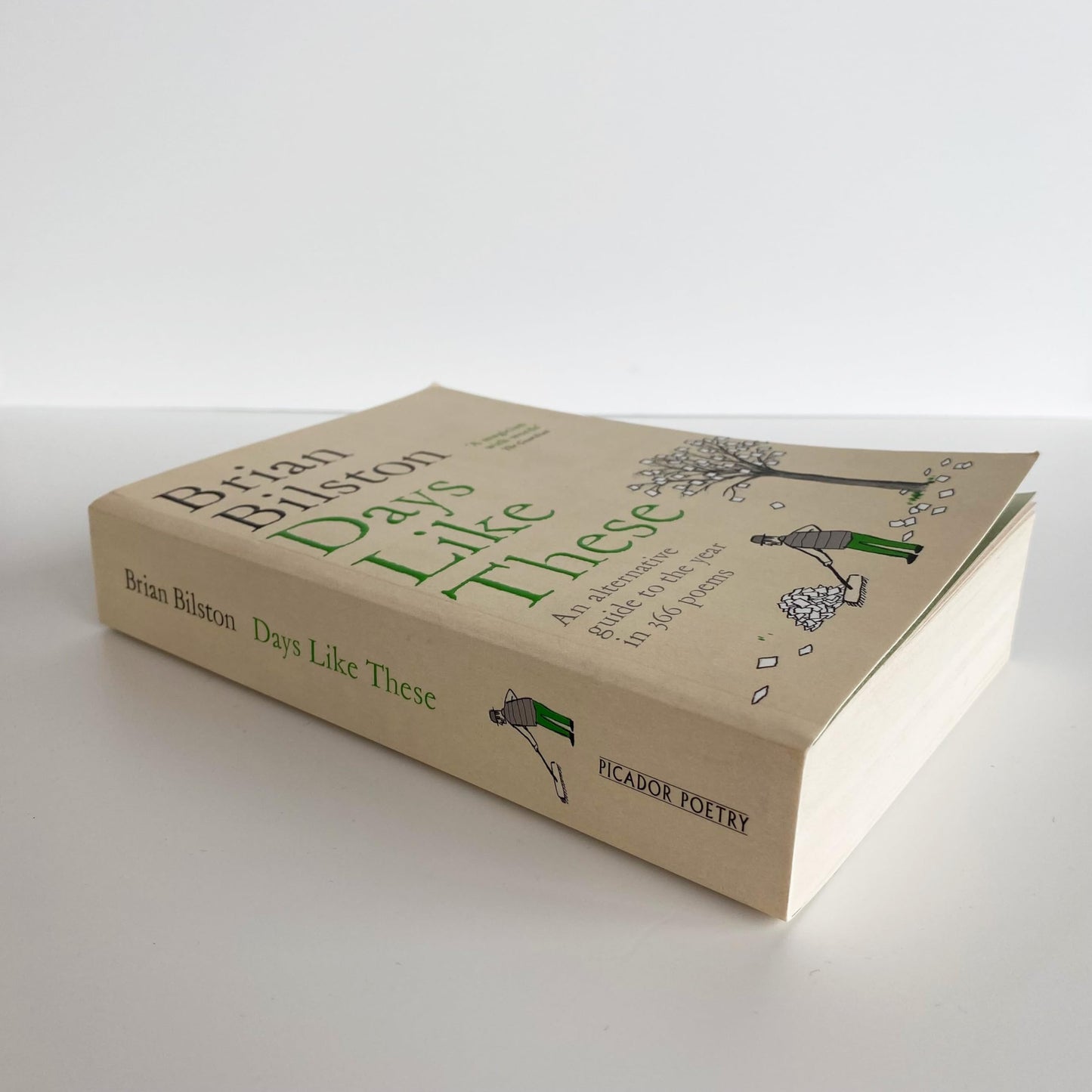 Days Like These: An alternative guide to the year in 366 poems