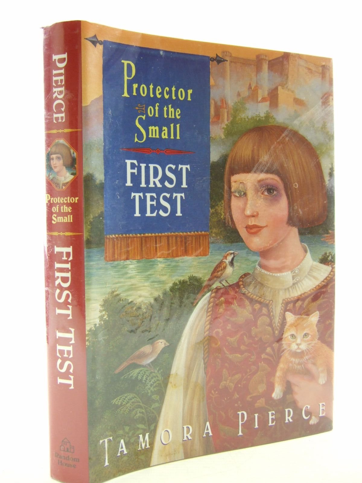 First Test (Protector of the Small)