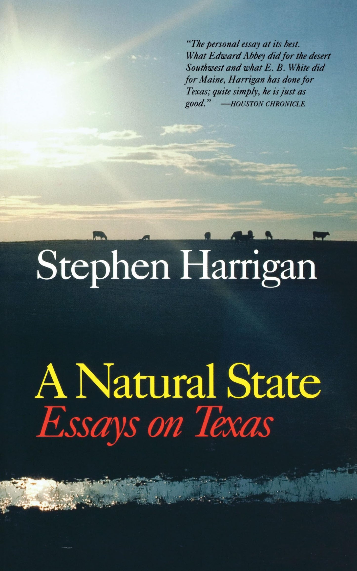 A Natural State: Essays on Texas