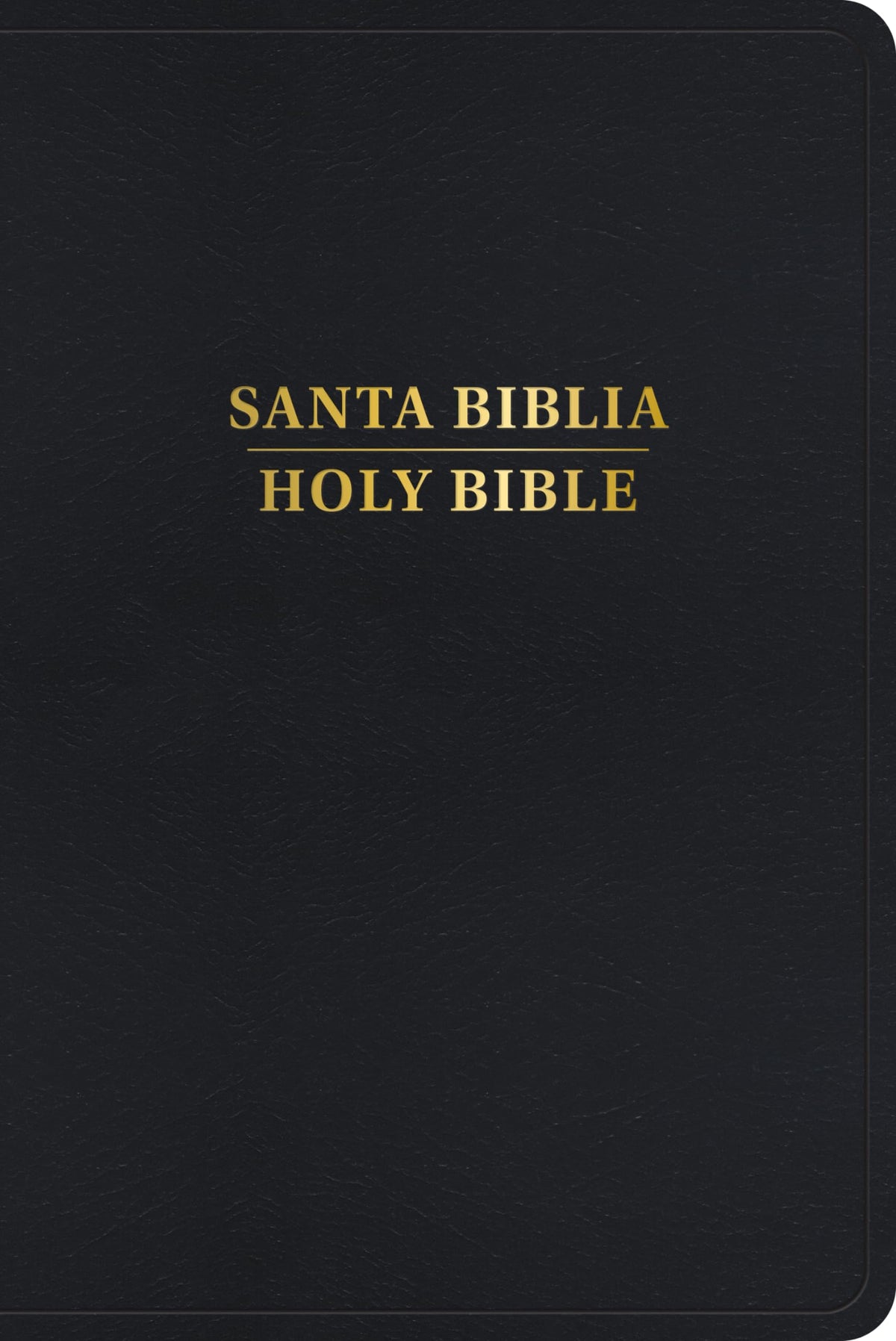 RVR 1960 KJV Biblia Bilinge, Símil Piel (RVR 1960 KJV Bilingual Bible LeatherTouch) (Spanish and English Edition)