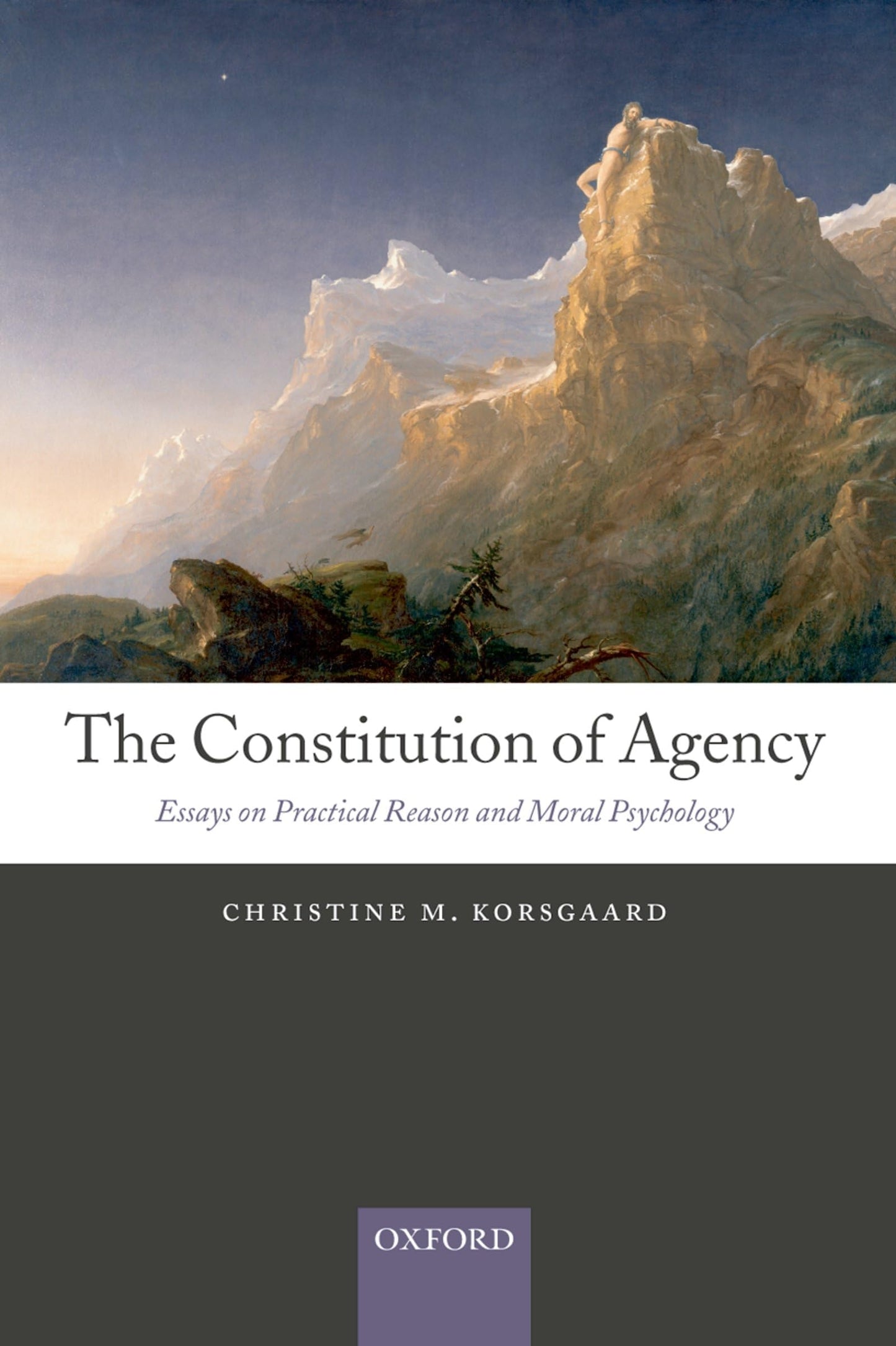 The Constitution of Agency: Essays on Practical Reason and Moral Psychology