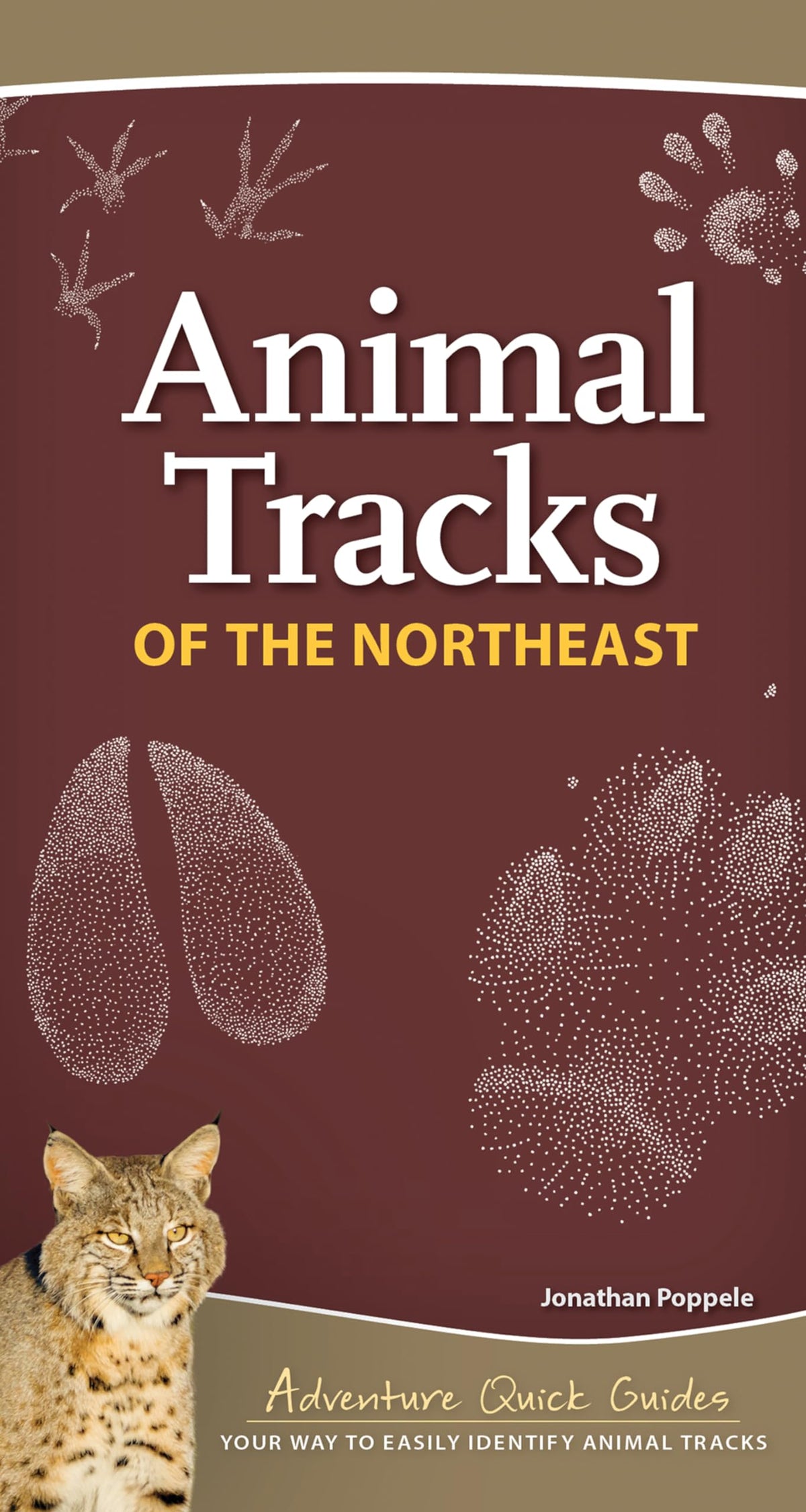 Animal Tracks of the Northeast: Your Way to Easily Identify Animal Tracks (Adventure Quick Guides)