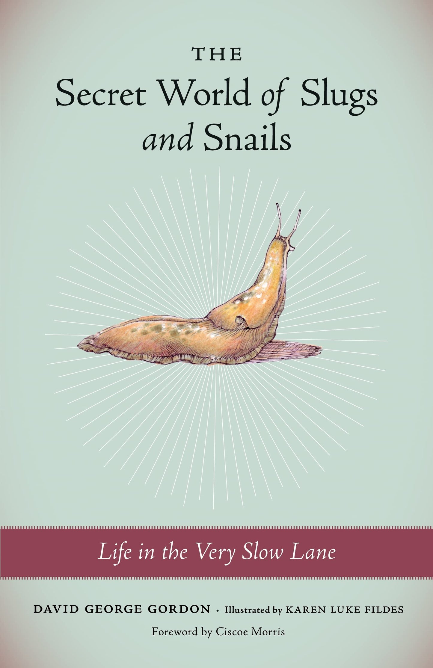 The Secret World of Slugs and Snails: Life in the Very Slow Lane