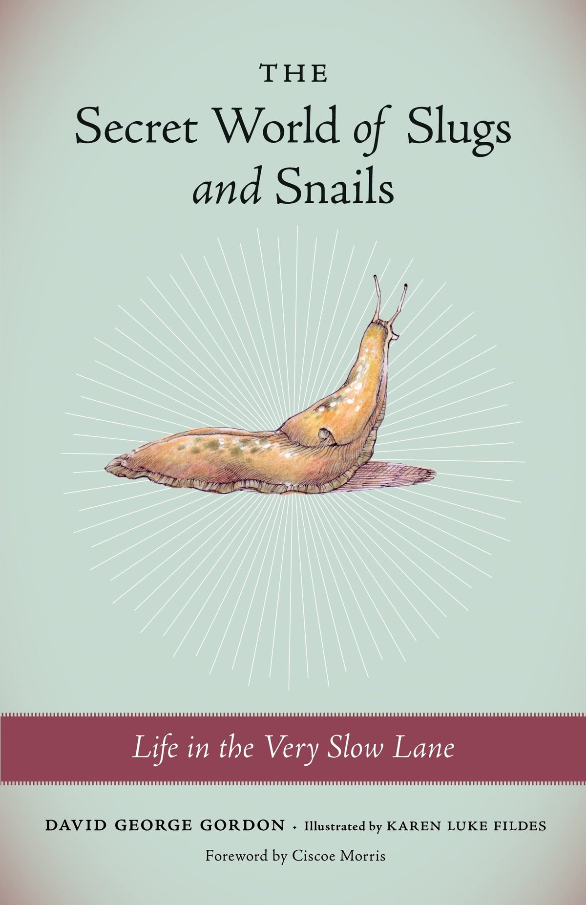 The Secret World of Slugs and Snails: Life in the Very Slow Lane
